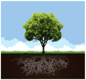 screen-shot-2016-11-16-at-3-50-04-pm